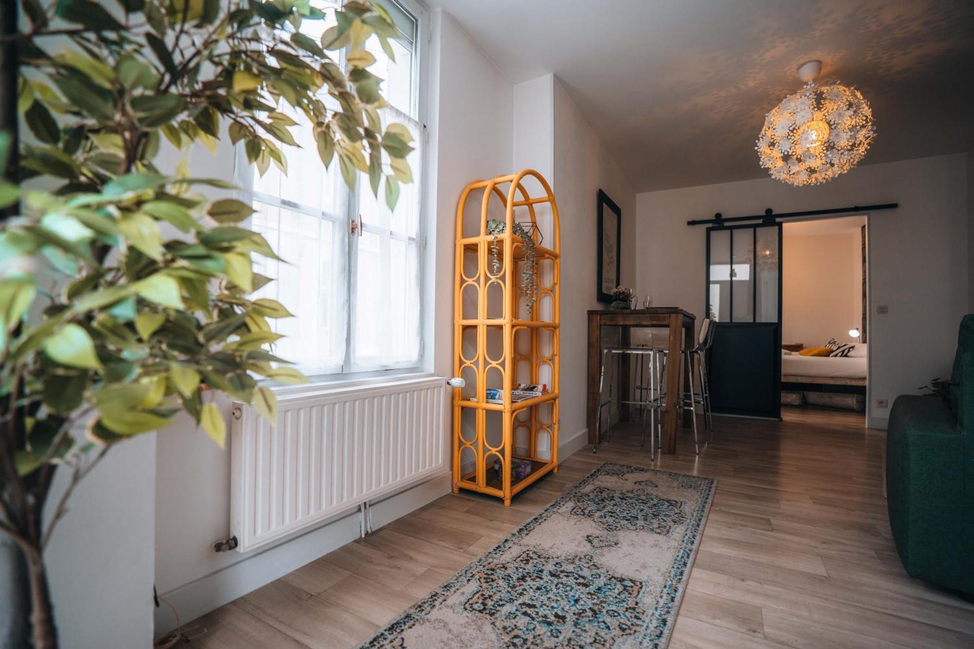 Les Petits Roys - Proche Centre Ville - Cosy Châteauroux Zewnętrze zdjęcie
